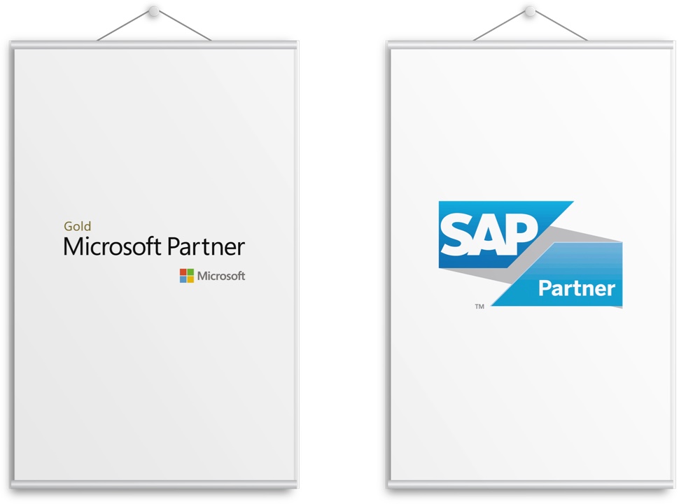 Partnerships with renowned global IT vendors